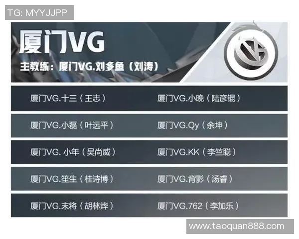 KPL辅助保护细节解析与实战技巧分享让你的游戏更上一层楼